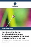 Das brasilianische Strafverfahren: eine verfassungsrechtliche und praktische Perspektive