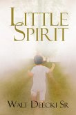 Little Spirit Little Spirit