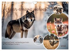A year among wolves (Wall Calendar 2025 DIN A4 landscape), CALVENDO 12 Month Wall Calendar