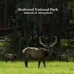 Redwood National Park Animals and Attractions Kids Book