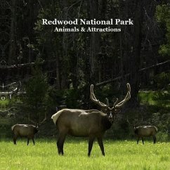 Redwood National Park Animals and Attractions Kids Book - Marie, Kinsey; Grinslott, Billy