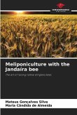 Meliponiculture with the Jandaíra bee