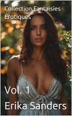 Collection Fantaisies Érotiques Vol. 1 (eBook, ePUB)