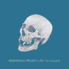 Sir Mandrill - Meanwhile Project Ltd