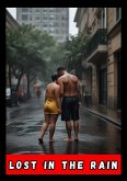 Lost in the Rain (contos, #1) (eBook, ePUB)