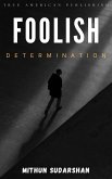 Foolish Determination (eBook, ePUB)