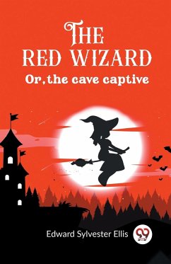 The red wizard Or, the cave captive - Ellis, Edward Sylvester