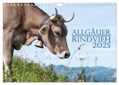 Allgäuer Rindvieh 2025 (Wandkalender 2025 DIN A4 quer), CALVENDO Monatskalender - Calvendo;Wandel, Juliane