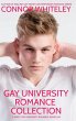 Gay University Romance Collection - Bild 1
