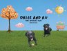 Orlie and Ru - The Special Two - Bild 1