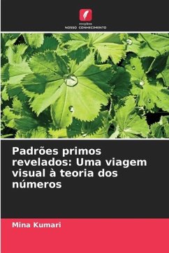 Padrões primos revelados: Uma viagem visual à teoria dos números - Kumari, Mina