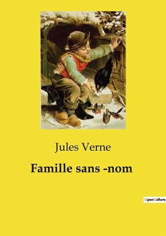 Famille sans ­nom - Verne, Jules