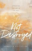 Not Destroyed (eBook, ePUB)
