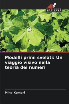 Modelli primi svelati: Un viaggio visivo nella teoria dei numeri - Kumari, Mina