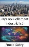 Pays nouvellement industrialisé (eBook, ePUB)