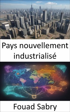 Pays nouvellement industrialisé (eBook, ePUB) - Sabry, Fouad