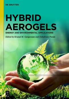 Cover Hybrid Aerogels (eBook, ePUB)