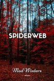 Spiderweb (eBook, ePUB)