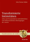 Transformierte Intimitäten (eBook, ePUB)