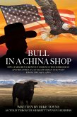 Bull in a China Shop (eBook, ePUB)