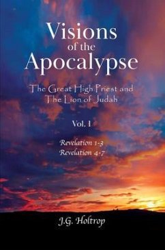 Visions of the Apocalypse (eBook, ePUB) - Holtrop, J. G.