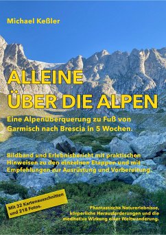 Alleine über die Alpen (eBook, ePUB) - Keßler, Michael