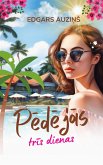 Pedejas tris dienas (eBook, ePUB)