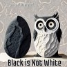Black is Not White (The Magic of... - Bild 1