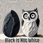 Black is Not White (The Magic of Reading) (eBook, ePUB)