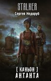 Каньон. Антанта (eBook, ePUB)