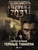 Metro 2033: Temnye tunneli (eBook, ePUB)