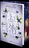 Broken Lies / Die Elite von Ashriver Bd.2