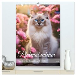 Pfotenabenteuer - Ragdolls in der Natur (hochwertiger Premium Wandkalender 2025 DIN A2 hoch), Kunstdruck in Hochglanz - Calvendo;Verena Scholze, Fotodesign