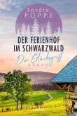 Der Glücksgriff / Der Ferienhof im Schwarzwald Bd.2