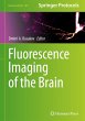 Fluorescence Imaging of the Brain - Bild 1