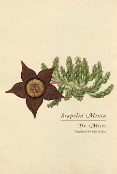 Cover Stapelia Mixta