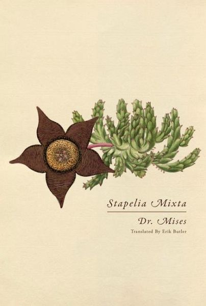 Stapelia Mixta Stapelia Mixta