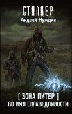 Зона Питер. Во имя справедливости (eBook, ePUB)