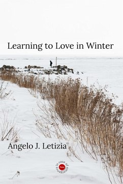 Learning to Love in Winter - Letizia, Angelo J.