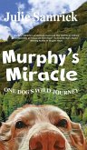 Murphy's Miracle