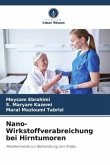 Nano-Wirkstoffverabreichung bei Hirntumoren