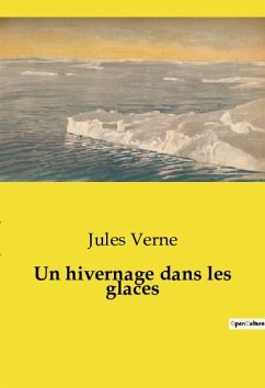 Un hivernage dans les glaces - Verne, Jules