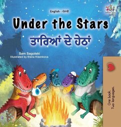 Under the Stars (English Punjabi Gurmukhi Bilingual Kids Book) - Sagolski, Sam; Books, Kidkiddos
