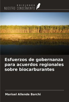 Cover Esfuerzos de gobernanza para acuerdos regionales sobre biocarburantes