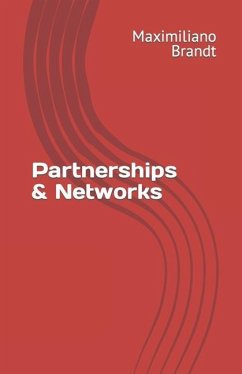Partnerships & Networks - Brandt Msc, Maximiliano
