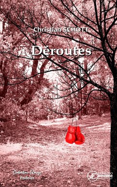 Déroutes (eBook, ePUB) - Schott, Christian