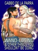 Wand-Losing & Other Things You Shouldn't be Doing (eBook, ePUB)
