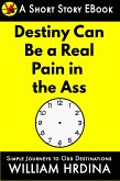 Destiny Can Be a Real Pain in the Ass (Simple Journeys to Odd Destinations, #34) (eBook, ePUB)