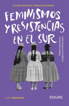 Feminismos y resistencias en el Sur (eBook, ePUB) - Martínez, Victoria; Alvarado, Mariana