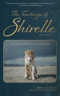 The Teachings of Shirelle (eBook, ePUB) - Green, Douglas